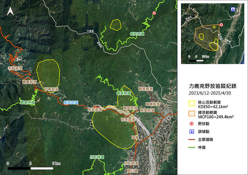 力鹿克在台東山林很活躍,去年也推進到南橫公路以南至紅石林道之間山區活動。(林保署花蓮分署提供) 力鹿克在台東山林很活躍,去年也推進到南橫公路以南至紅石林道之間山區活動。(林保署花蓮分署提供)