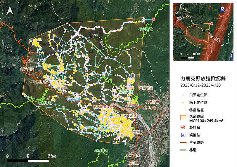力鹿克在野放後,活動範圍約二百五十平方公里,主要在台東地區山區活動,密密麻麻的軌跡紀錄顯示活動力很強。(林保署花蓮分署提供) 力鹿克在野放後,活動範圍約二百五十平方公里,主要在台東地區山區活動,密密麻麻的軌跡紀錄顯示活動力很強。(林保署花蓮分署提供)